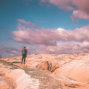 把一个女仆训练成狗要多久
