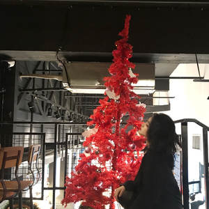 把一个女仆训练成狗要多久
