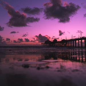 把一个女仆训练成狗要多久
