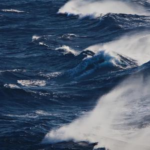 把一个女仆训练成狗要多久
